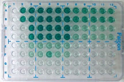 Domoic Acid ELISA, Microtiter Plate